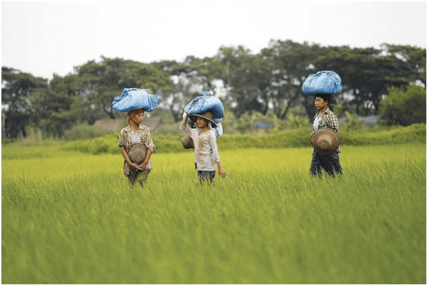 ืที่มา: ประชาชาติธุรกิจ